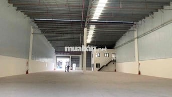 𝗫𝗨̛𝗢̛̉𝗡𝗚 𝐁𝐈̀𝐍𝐇 𝐂𝐇𝐀́𝐍𝐇 (kcn lê minh xuân 3), Cont 24/24, nền eroxy