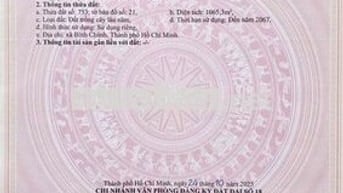 1065M2 TMDV MT ĐÌNH BÌNH TRƯỜNG