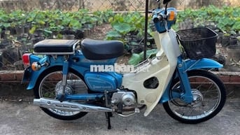 Honda Cub 81-50cc BSTP KHÔNG CẦN BẰNG LÁI