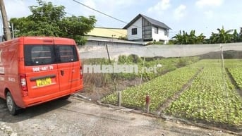 Đất thổ cư 1/Bùi Thị Lùng-Thới Tam Thôn-Hóc Môn.Dt 8x30~239m2~6ty