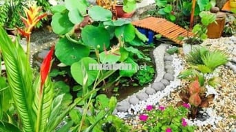 chính chủ cần tiền muốn bán gấp lô đất giá rẻ