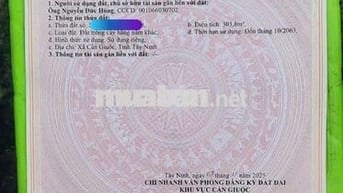 BÁN NHÀ YẾN LONG AN ĐANG KHAI THÁC