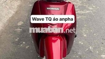 🌻wave TQ áo anpha bô anpha nhõ lốc đen 🌻