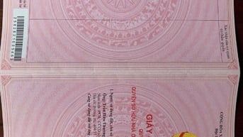 Bán lô đất xâ nhà xưởng đang trồng cây cao su 