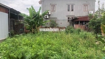 Đất 60m2 ngang 4,4m Đường 203 Lâm Động 1,49 tỷ