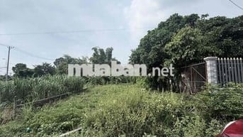 Bán đất 580m² có 300m² thổ cư, ngang 14m, đường ô tô, Củ Chi