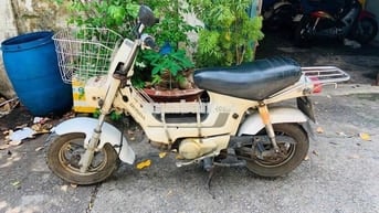 Honda Chaly Trắng