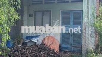 CHỦ KẸT TIỀN BÁN GẤP LÔ ĐẤT Ở XÃ TÂN THÔNG HỘI 125M2 , SỔ HỒNG RIÊNG