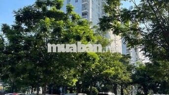 Bán CC Đông Hưng tại Đông Hưng Thuận, Q12, TP.HCM, giá siêu hời