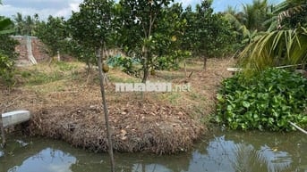 đất nghĩ dưỡng lộ 4m cách tttp 10km