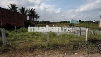 Đất nền khu dân cư thị trấn Đức Hòa