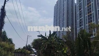 Bán đất đường Hoàng Quốc Việt quận 7 