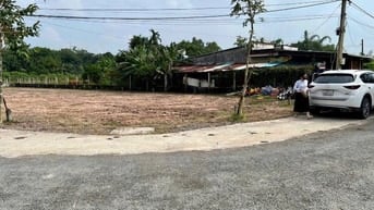 Gốc 2mt nhựa tại củ chi giá 980triệu