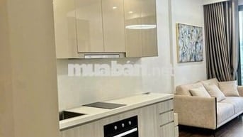 Tôi chính chủ cần bán căn 2N+ 64m2 giá 4,8 tỷ, Vinhomes Smart City.