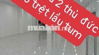 cho thuê  mặt bằng hoàng diệu 2 thủ duc