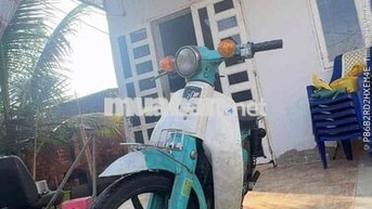 Honda Cub 50 Xanh ngọc, trắng