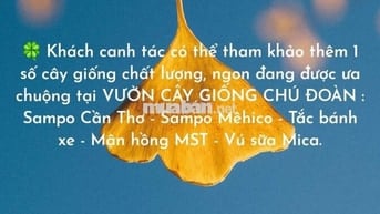 CHỦ CẦN BÁN GẤP - ALO xem đất và giấy tờ giúp e cho nhanh ạh!