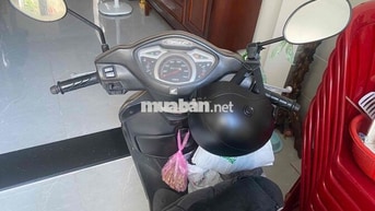 Honda Lead 2011 Vàng đồng
