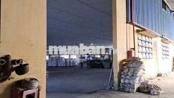 xưởng cho thuê trong KCN ĐỨC HÒA LONG AN giá 60k/m