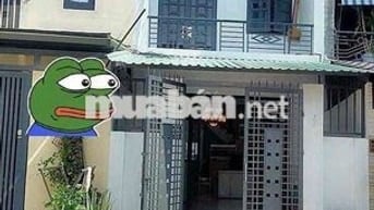 🎁Cho thuê 79/ Thống Nhất P11 Gò Vấp 4m❌16m 3pn 2wc gần BV Hồng Đức