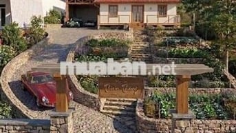 CHÍNH CHỦ BÁN NHÀ ĐỨC TRỌNG - SỔ SẴN - PHÙ HỢP ĐẦU TƯ, KINH DOANH HOẶC