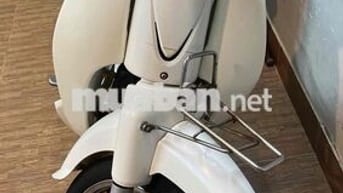 Detech Cub Trắng Xăng
