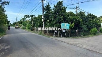 Vườn Mít + Nhà - Hai Mặt Tiền Đường Nhựa - Vuông Đẹp !