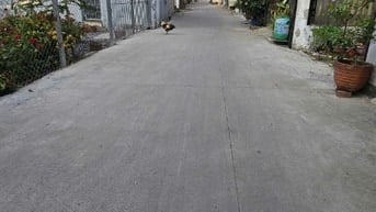 Bán đất đẹp 1/ hẻm xe hơi phường  Thạnh Lộc củ nay An Phú Đông Quận 12