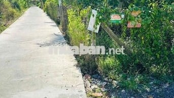 Chính chủ cần ra miếng đất thổ cư tiện xây nhà