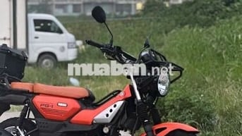 Yamaha PG-1 Cam