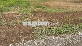Chủ kẹt gửi bán 159m2 đất thổ gần KCN Cầu Tràm, giá 590trieu, bao giấy