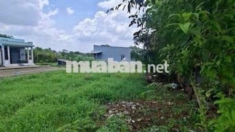 đất thổ cư ngay ngã 3 tân kim chỉ 580tr. 138m2. sổ sẵn đường oto 7chổ