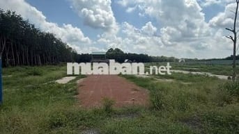 Cắt lỗ mạnh, sang nhượng nhanh lô đất mặt tiền Cao Bá Quát