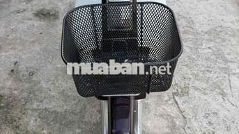 Honda Dream Thái Trắng, Đen, Tím Xe số