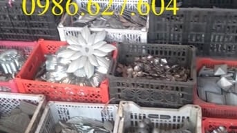 Cần gia công hàng rào sắt nghệ thuật