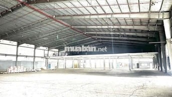 𝗫𝗨̛𝗢̛̉𝗡𝗚 𝗕𝗜̀𝗡𝗛  𝐓𝐀̂𝐍, 3500m2, pccc tự động
