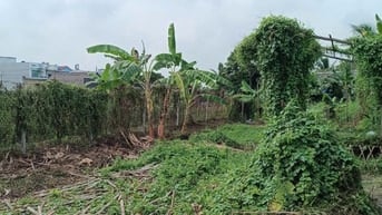 Vị trí đất Bình Mỹ ô tô thông, 8,5x12,5m, dựng nhà ở liền.