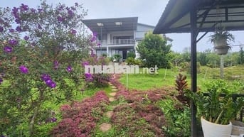nhà biệt thự vườn 6.000m2 ven đà lạt