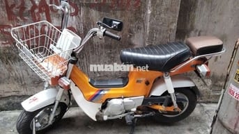 Honda Chaly 50cc Vàng Việt Thái