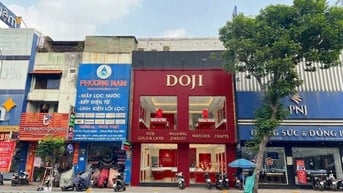 Cho Thuê Nhà Mặt Tiền 118 Nguyễn Oanh, P. 7, Gò Vấp - 8x18 ( 3 tầng ) 