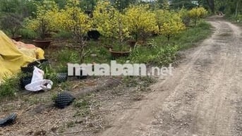 Bán đất P.Tây Nam Tp HCM giáp rạch, gần sông SG, tiện ra TL744 .