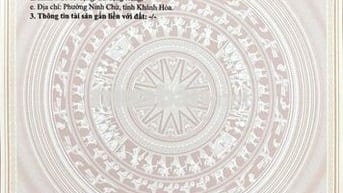 ĐẤT VEN BIỂN NINH CHỬ (CÁCH BÃI BIỂN 5P)