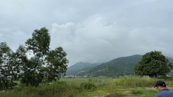 CTY ĐẤU GIÁ HỢP DANH TRỰC TUYẾN VIỆT NAM (VNOA) TỔ CHỨC ĐẤU GIÁ