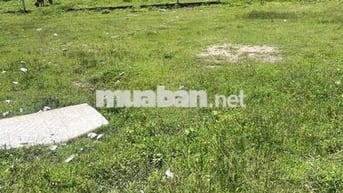 đất cách sân bay long thành 5 phút
