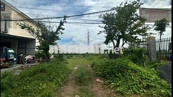 BÁN NGỘP LÔ ĐẤT GẦN QL50 - DT 161M2 CÁCH CHỢ CẦN ĐƯỚC 500M SHR