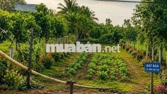 Bán nền đất cách chợ Thị Trấn MỸ Phước 50m