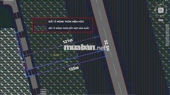 🔥 CHỦ NGỘP CẦN BÁN GẤP – XƯỞNG 4.253M² ĐƯỜNG XE CÔNG NHUẬN ĐỨC, CỦ CHI