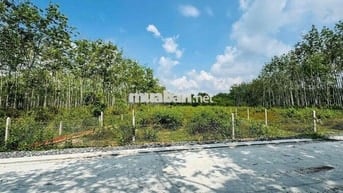 🔥 HÀNG HIẾM CỦ CHI – 1.600m² ĐẤT NHÀ VƯỜN GIÁ CHỈ 3,1 TỶ, CƠ HỘI ĐẦ