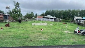 Bán 1 xẹt đường Trung Lập, kế tạp hoá Đỗ Trang, đường nhựa 8m