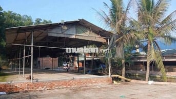 Cho Thuê Nhà Vườn 1500m2 - (Có Điện 3Fa -Xưởng)- Trảng Dài - Giá: 20tr